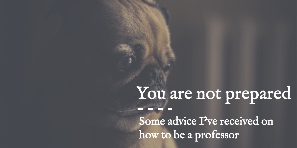 You are Not Prepared: Some advice I've received on how to be a professor